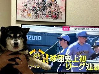 「阪神が優勝したけど、今回あーしは胴上げ…