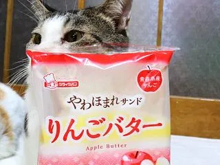 やわほまれサンド りんごバター