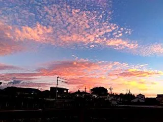 朝焼け・ミスティ・サラ・ヴォーン／ソテー