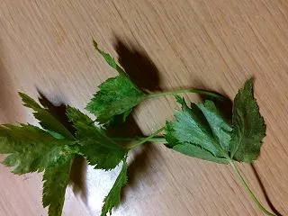 収穫