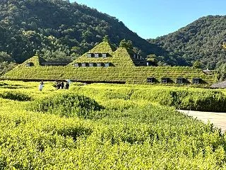 ラコリーナ近江八幡！