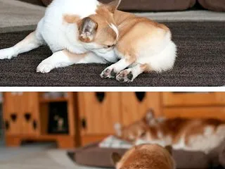 じっくんの思う壺
