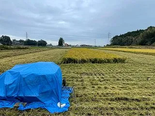 コンバインのベルトが・・・