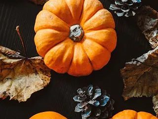 ●【ハロウィンの由来とは？古代ケルトの収…