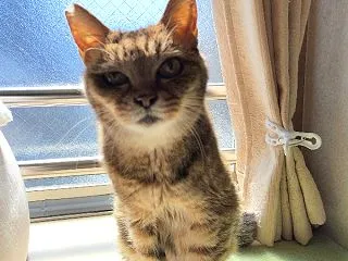 お留守番頑張ったママちゃん
