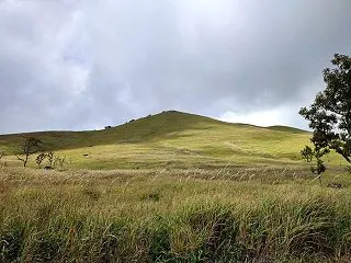 一目山へ散歩