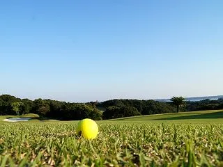 芝の高さから。
