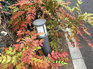 あさんぽ・・・追記 読者登録しているブロ…