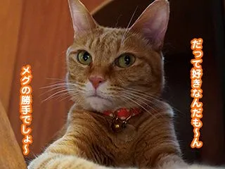 6872.階段の窓