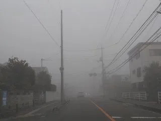 すごい霧