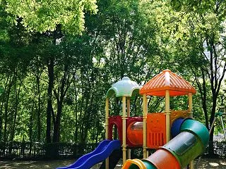 子どもの頃の運動習慣が一生の省エネ体を創…