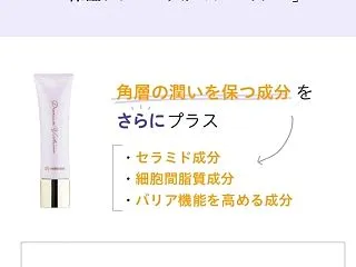大人気！プレミアムヴｨルティオ