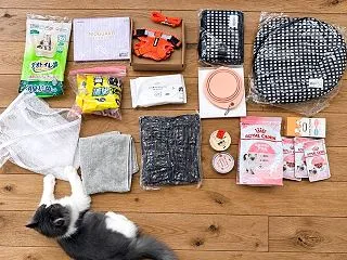 【ペットの防災】水に「ねこ」と書く理由。…