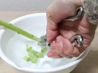 水切り