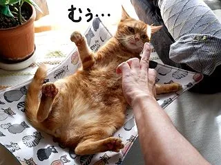 バトルの、終わり。