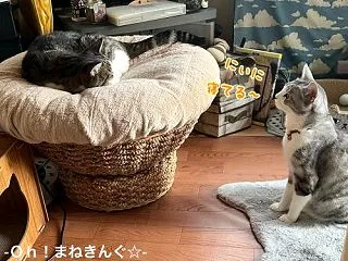 そりゃ怒られるわ😁