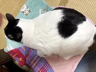 ☆パミの存在に♪
