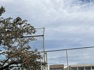 暖かい朝