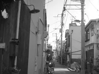 顔抱いて
