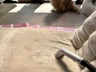 困りものパパ