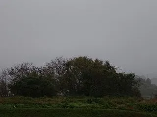 【よりみち編】雨の朝景色