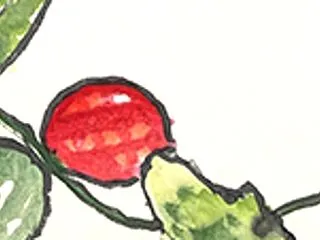烏うり