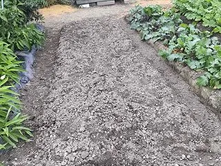 草むしり