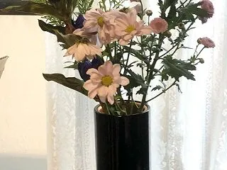 やることいろいろ&実家へ