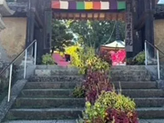 和歌山弾丸旅行～一日目高野山～
