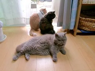 超ビビりも役に立つ‼