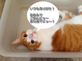 定休日です。
