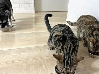 緊取風に｡｡｡出番ですっ♪