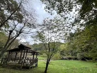 ヒマジンの大問題。プロジェクターの画質問…