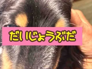 どんポコで病院。
