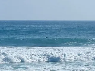 今日の波