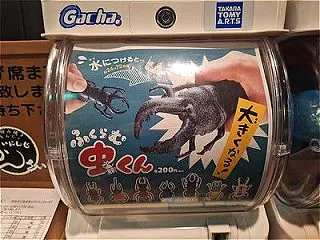 鳥取駅のバスターミナルへ！の巻。