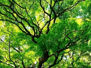 2026/10/21 朝日記 見知らぬ番…