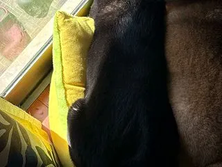 意外に褒められた