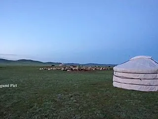 大草原で野営テント生活の日々 in モン…