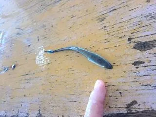 ゴミじゃない