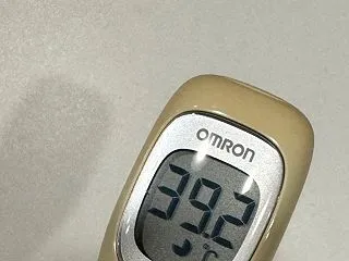 風邪っぴき