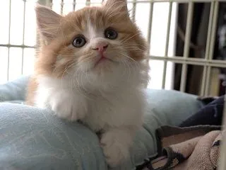 見守られる朝。