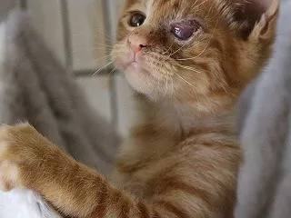 痛かっただろうに・・・