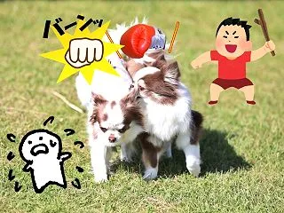 待ち相手🐶現る💦