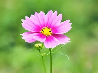 秋には君がいないとね