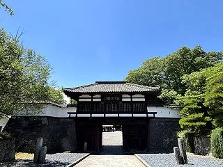 悲観の極という反発の兆候