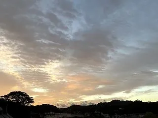 目指したいのは千手観音ではなくて