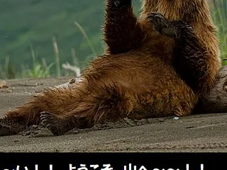秋は、ハイキングですね。。。