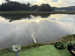 【釣行記】熊本養魚場でエリアトラウト！水…