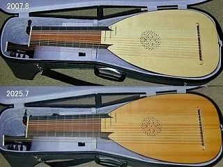 響板スプルースの種類